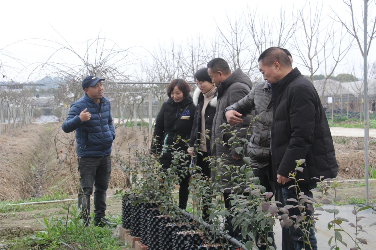 成都逸田与四川省农业科学院园艺研究所关于蓝莓新品种新技术示范项目验收合格